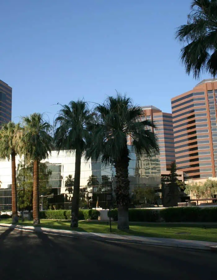 Tall palm trees line a quiet street in downtown Phoenix, Arizona, with modern glass and reddish-brown high-rise office buildings in the background. The clear blue sky and strong sunlight reflect the city’s desert climate and urban development.
