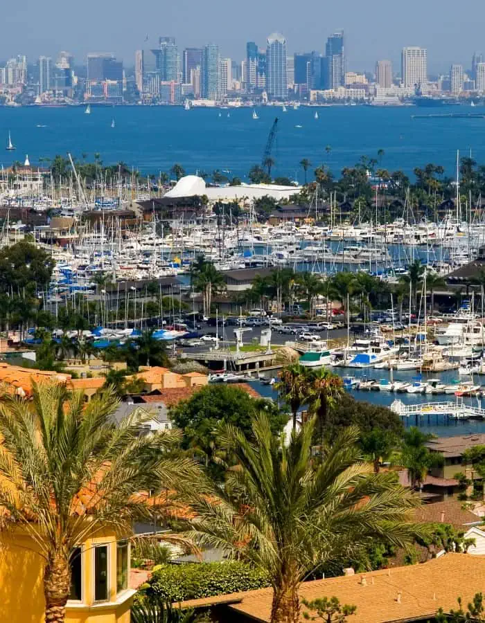 A scenic view of San Diego features a marina filled with sailboats and yachts, framed by palm trees and terracotta-roofed homes in the foreground. Across the bay, the downtown skyline rises with modern high-rises under a hazy blue sky, capturing the city's coastal charm.